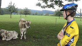 Joe admires some Brown Swiss cows at Sonnenburg Horseback Riding Centre near Oberbüren, 20.6 miles into the ride